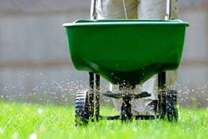 fertilizing-your-lawn